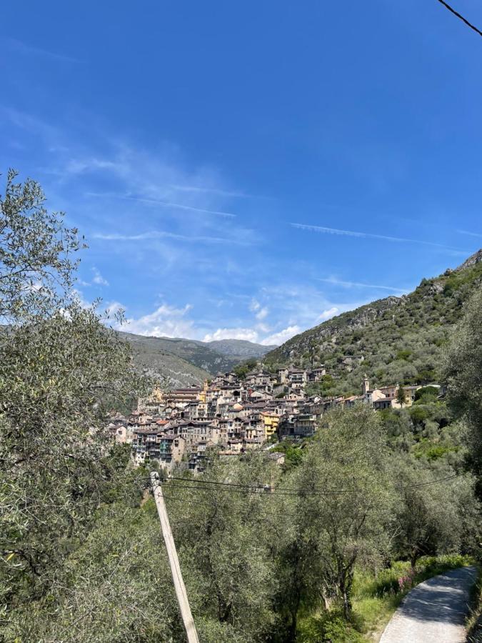 Appartement Cocooning Saorge Εξωτερικό φωτογραφία